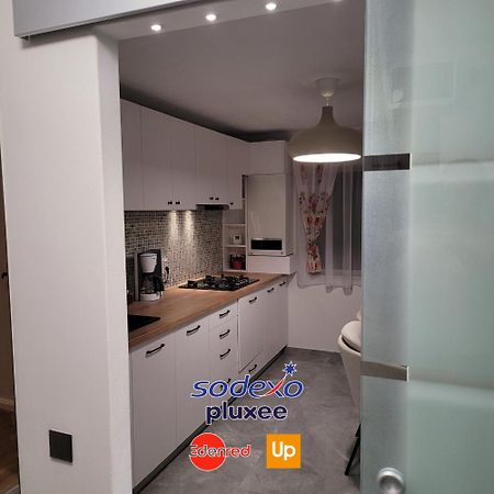 Hermann Apartment 克卢日-纳波卡 外观 照片