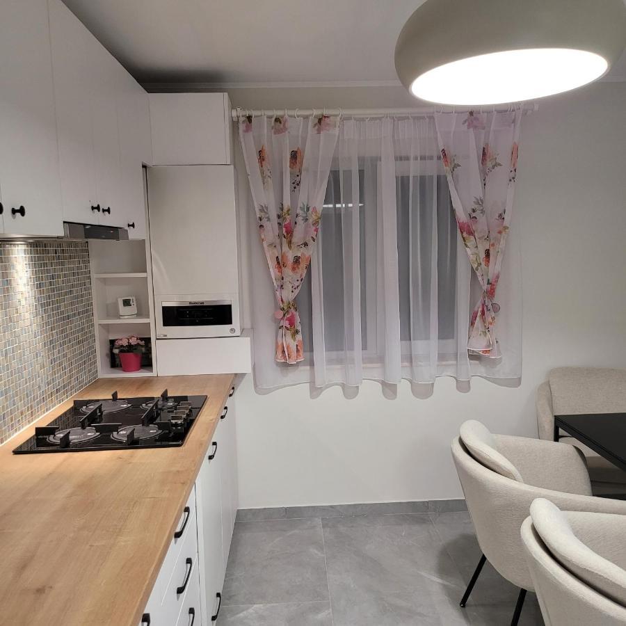 Hermann Apartment 克卢日-纳波卡 外观 照片
