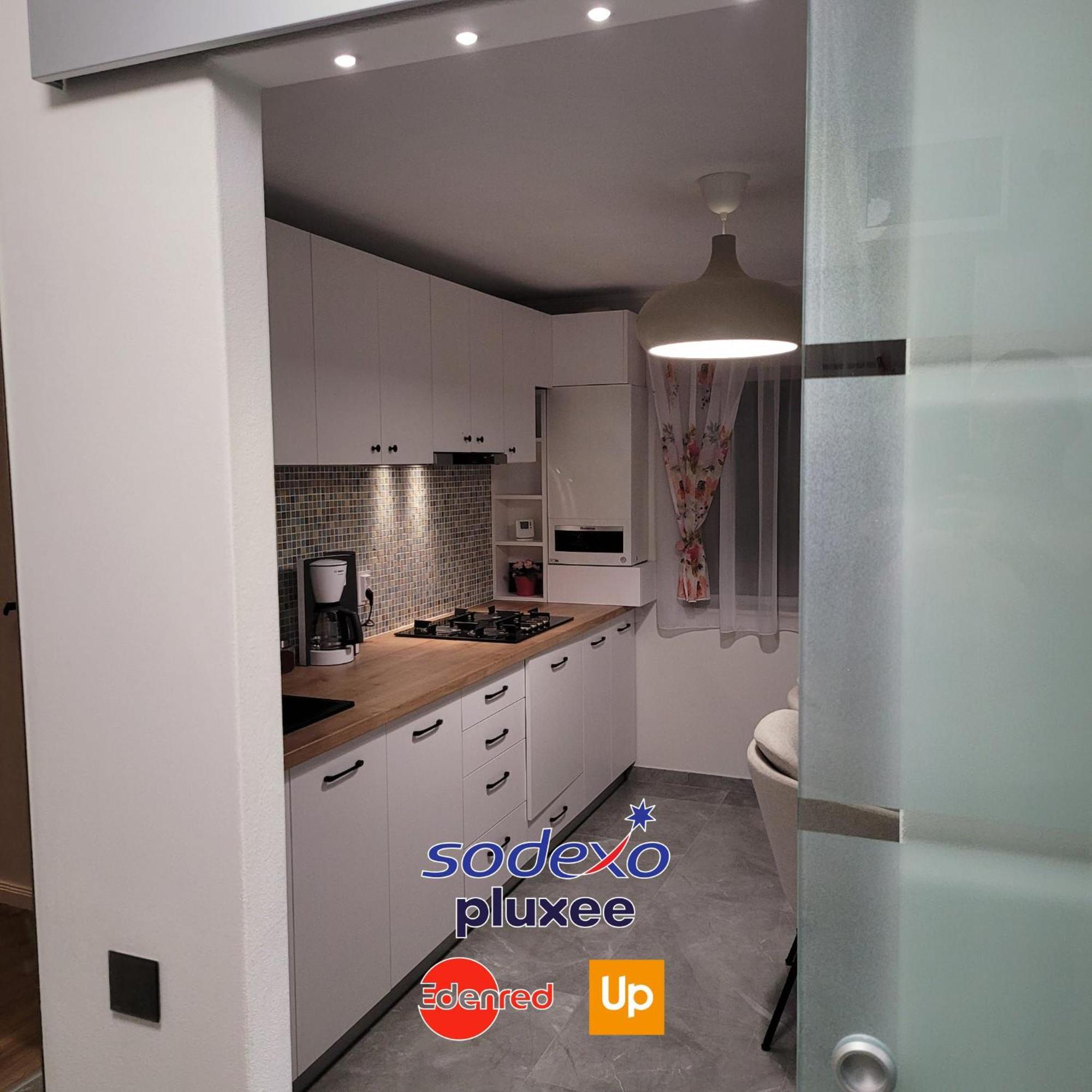 Hermann Apartment 克卢日-纳波卡 外观 照片